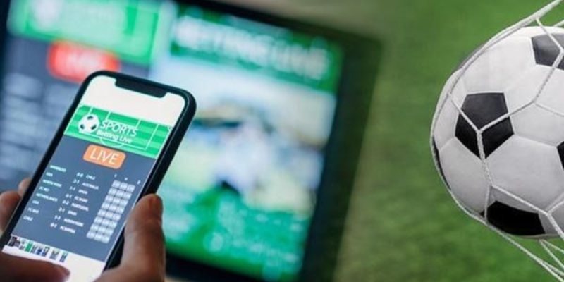 cơ hội kép là gì