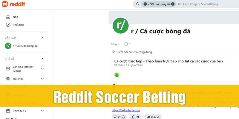 Reddit Soccer Betting là diễn đàn cá độ uy tín hiện nay